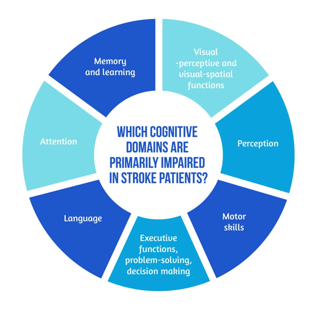 02 Primary cognitive domains impaired in stroke patients