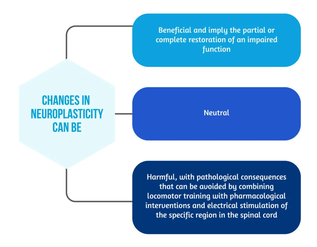 Locomotion training after spinal cord injury- the physiological basis of neurorehabilitation 3 02 The effects of changes in neuroplasticity