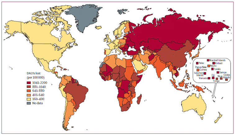 Global variation in stroke burden and mortality