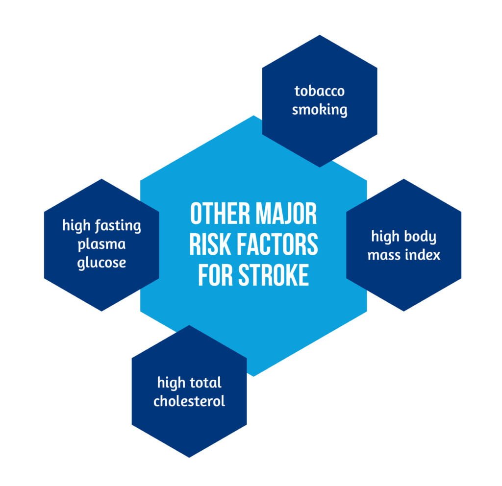 Other Major Risk Factors for Stroke