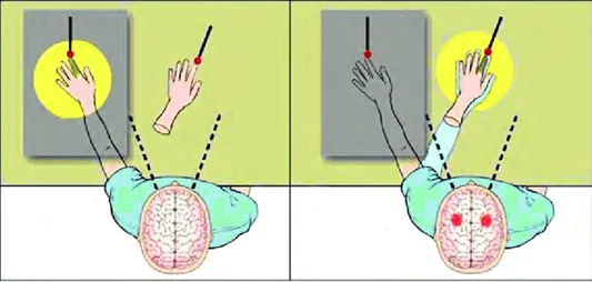 Crossmodal Illusions in neurorehabilitation - other perspectives - 6 The virtual reality systems – Rubber Band Illusion