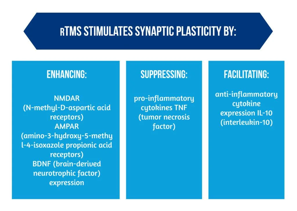Motor function after stroke is promoted by early neural network reorganization 4 Grafice articol blog EFNR 03