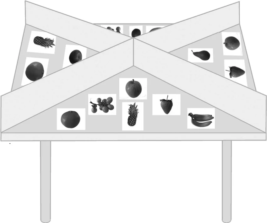 Shedding light on Speech-Language Therapy: How stroke survivors can benefit from intensive rehabilitation training for chronic aphasia 5 Therapeutic setting for ILAT Four players usually three aphasic patients and one