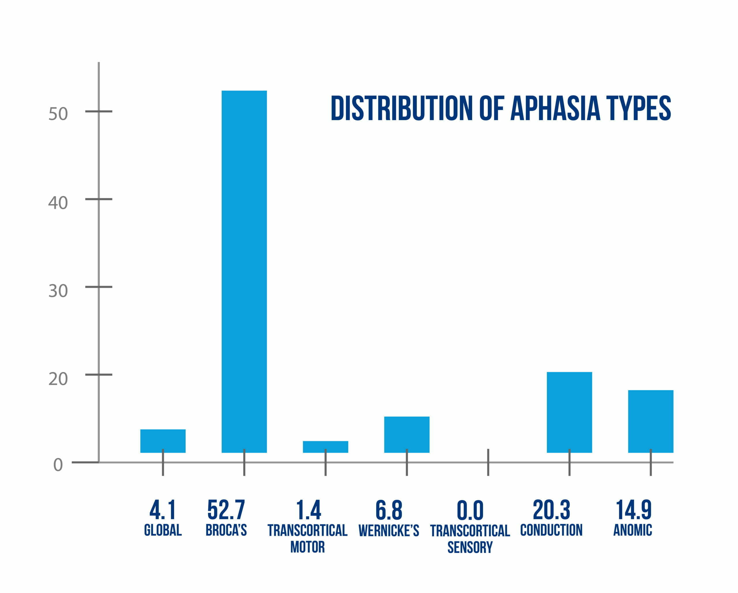 Graph 01 Distribution of Aphasia Types scaled