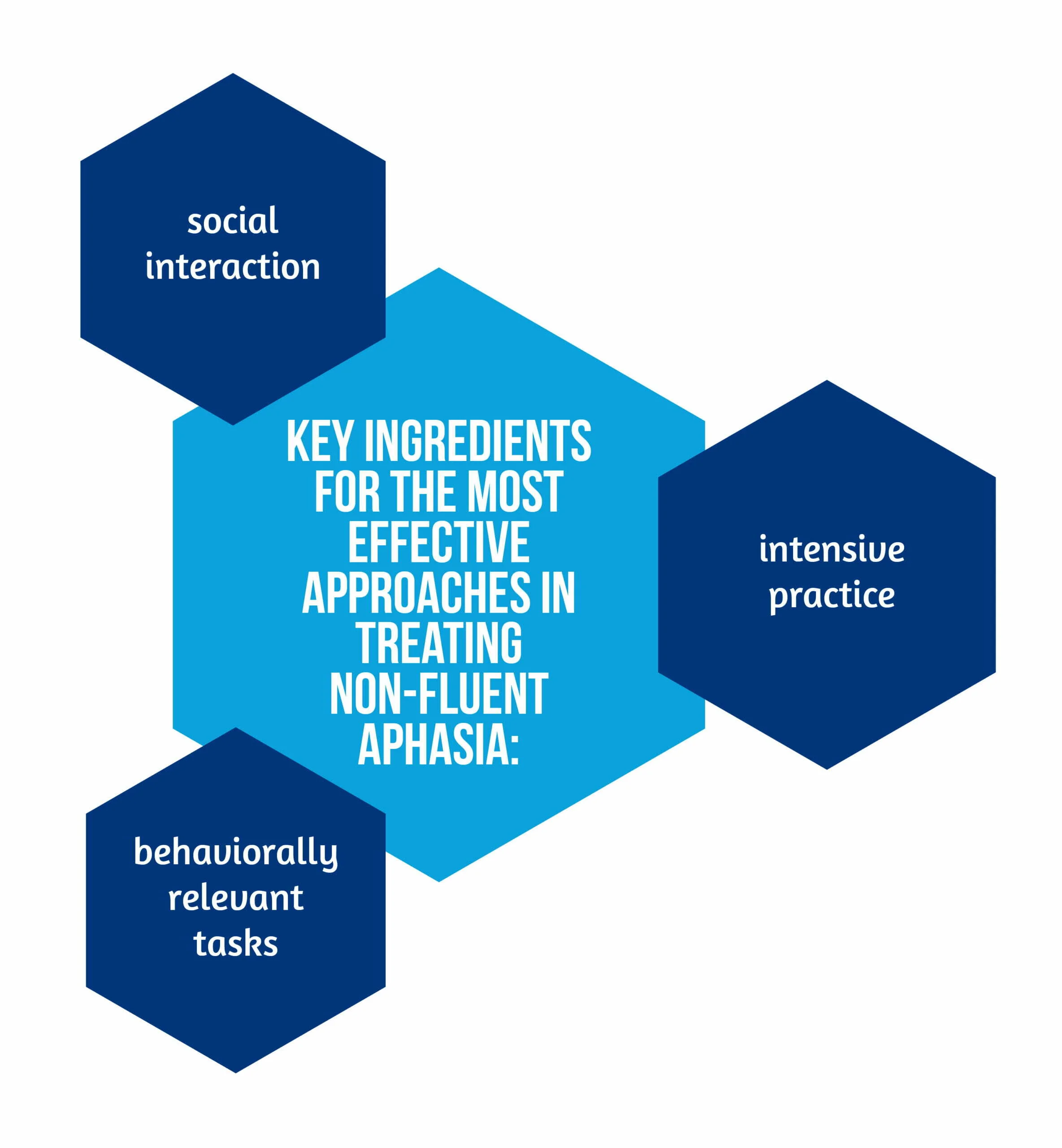 Graph 01 Key ingredients for approaches on non fluent aphasia scaled