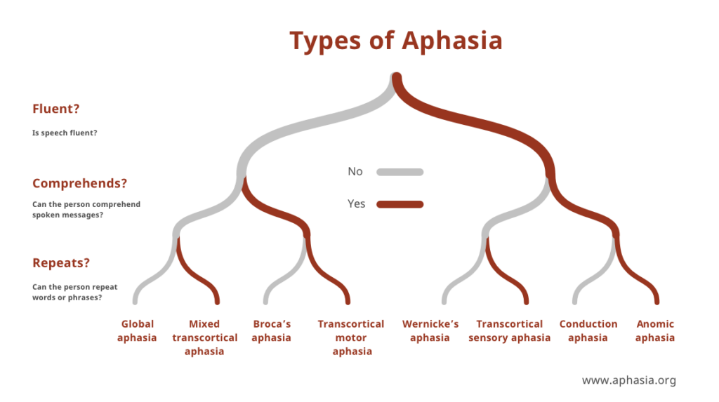 types of aphasia revised