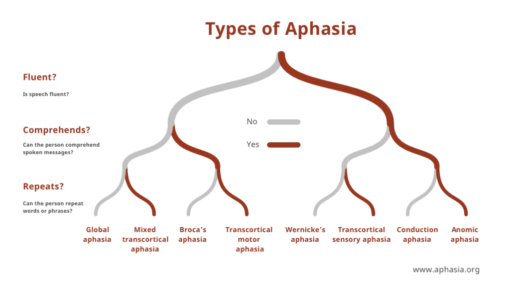 types of aphasia revised