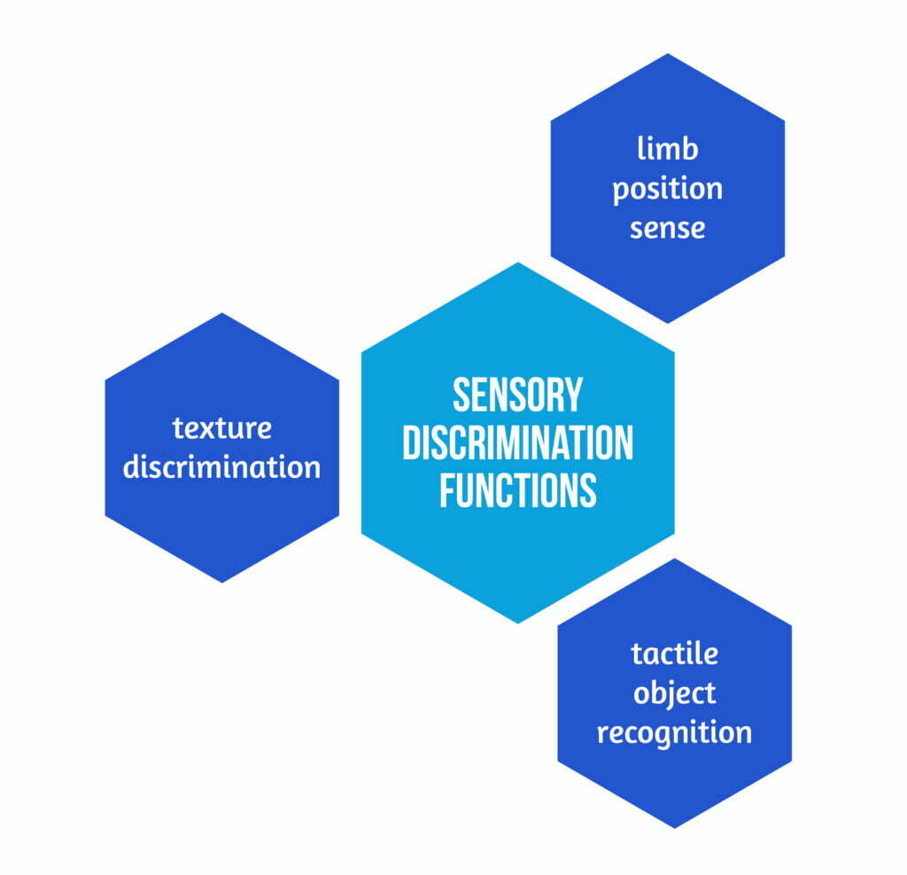 Graphic 2 Sensory Discrimination Functions