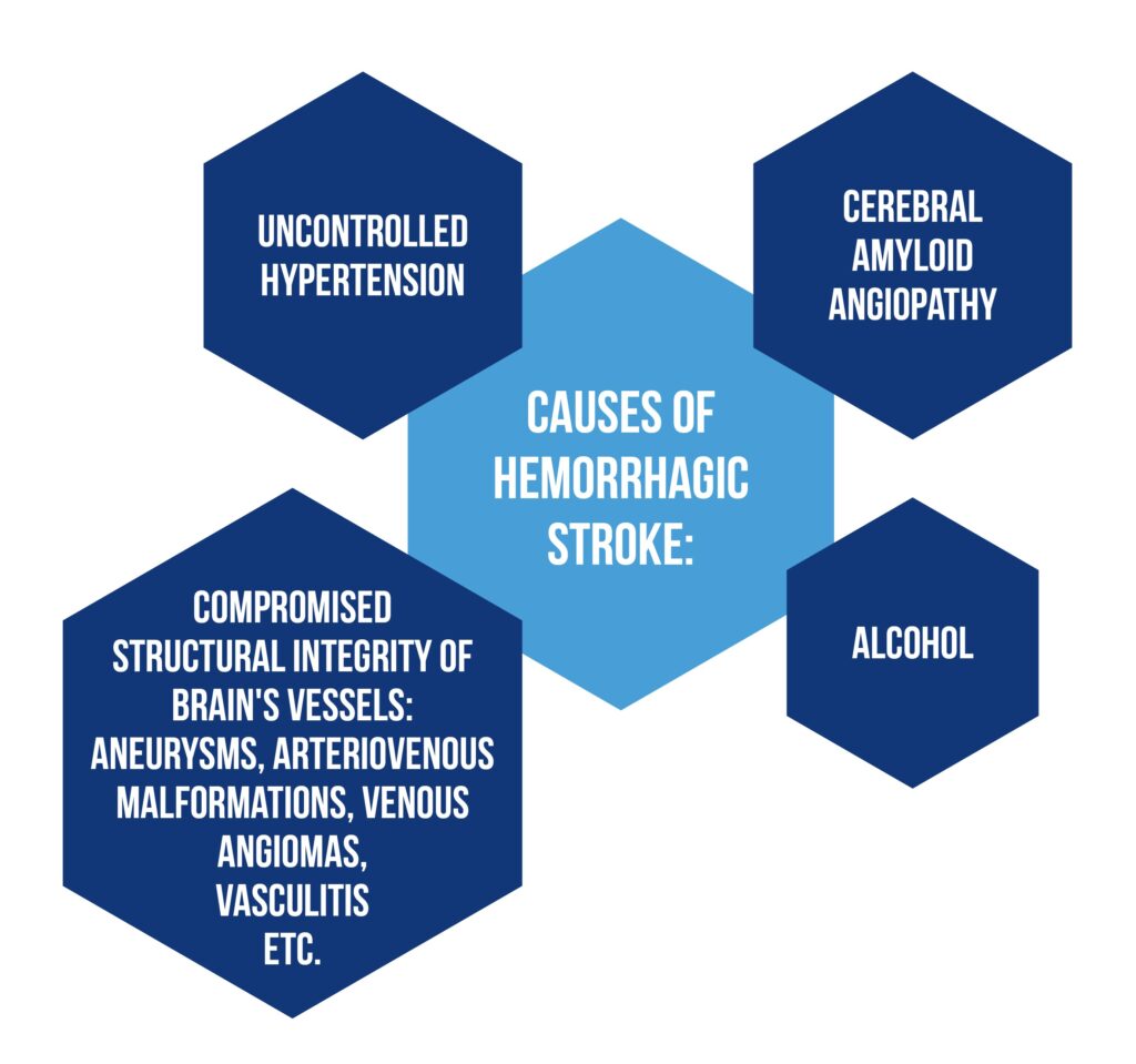 Figure 2 Causes for hemoragic stroke
