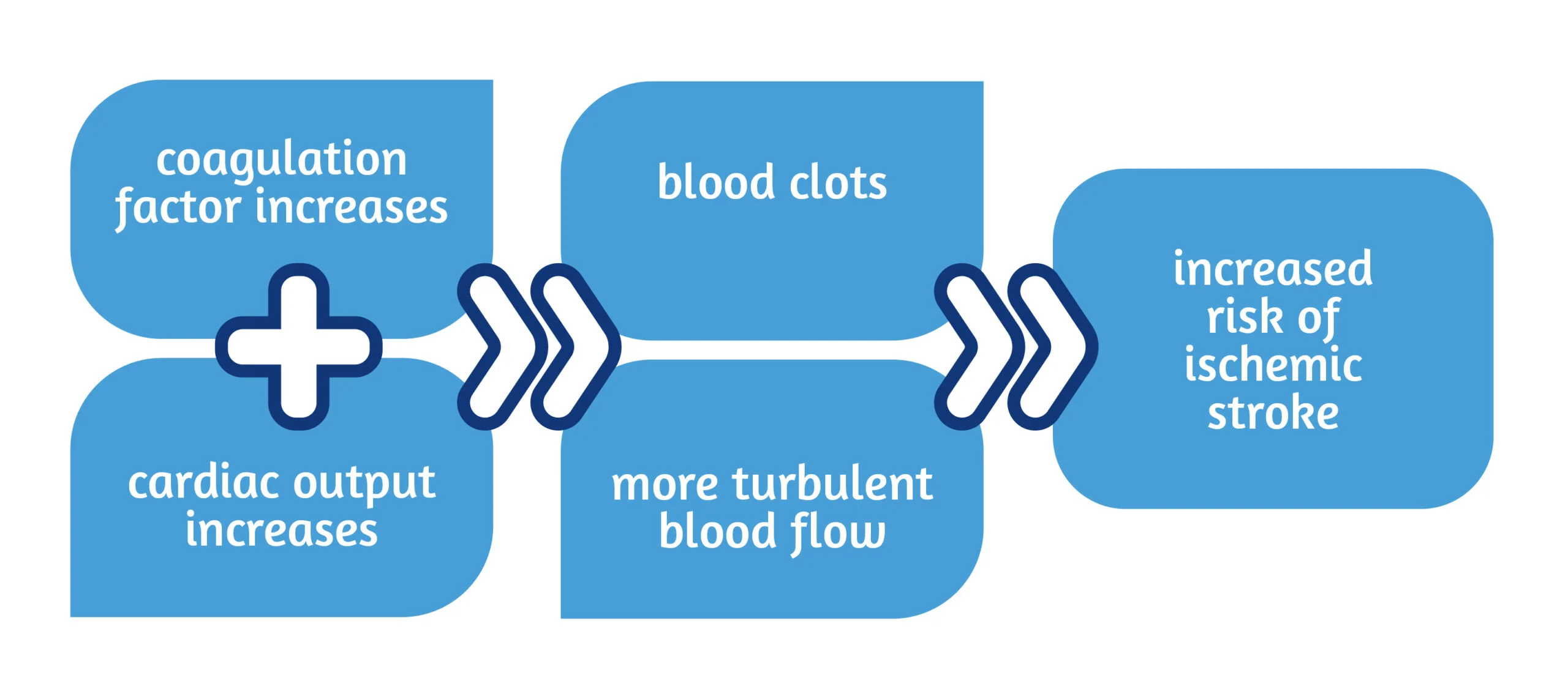 Figure 2 Factors for increased risk of ischemic stroke scaled