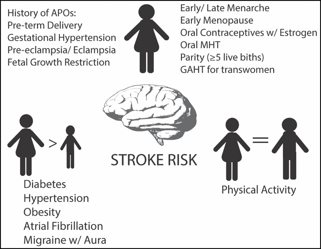 How does gender influence stroke and neurorehabilitation? • EFNR • The ...