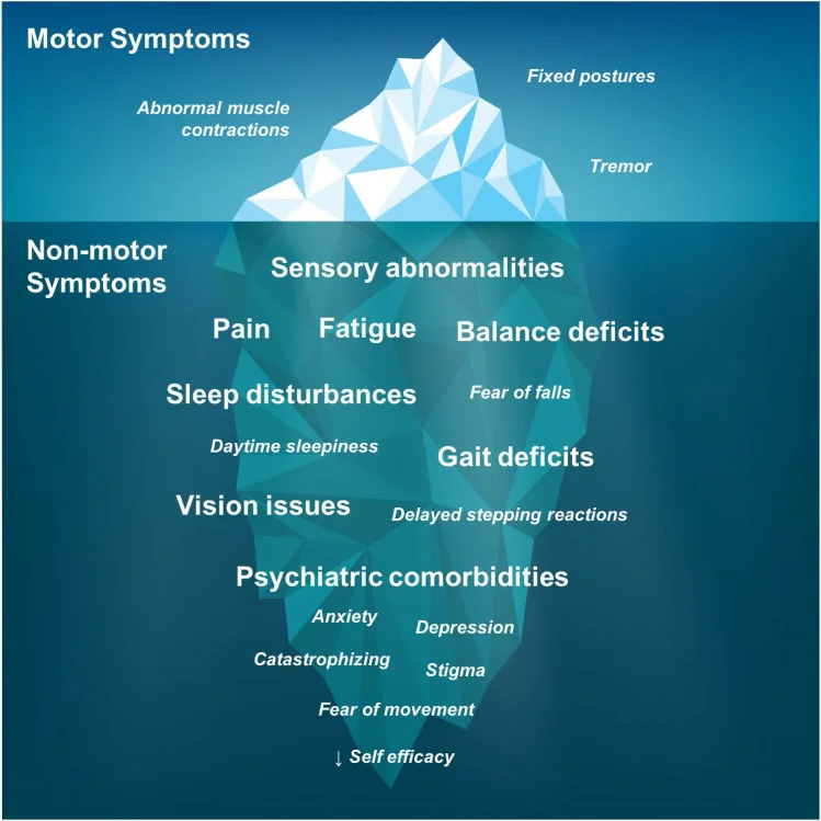 Neurorehabilitation in dystonia - a holistic approach 3 702 2020 2265 Fig4 HTML