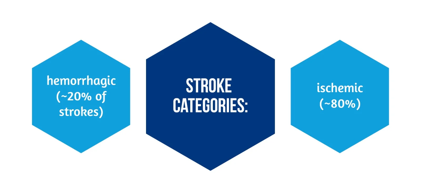 Intrinsic Mechanisms of Acupuncture in Ischemic Stroke Rehabilitation 2 WhatsApp Image 2023 10 23 at 12.17.53 2
