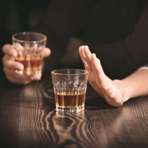 implications of alcoholism in neuroplasticity
