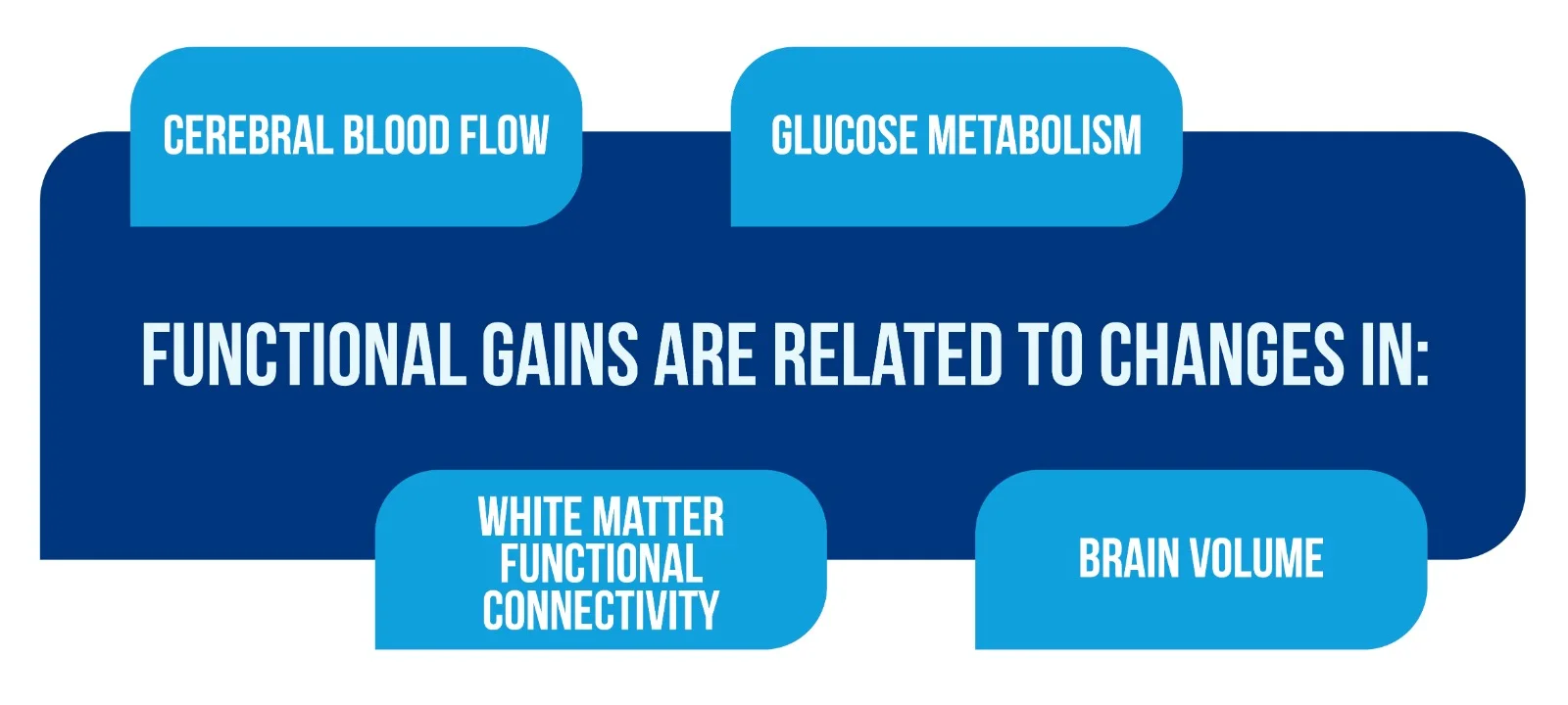 WhatsApp Image 2023 12 18 at 14.58.32 1