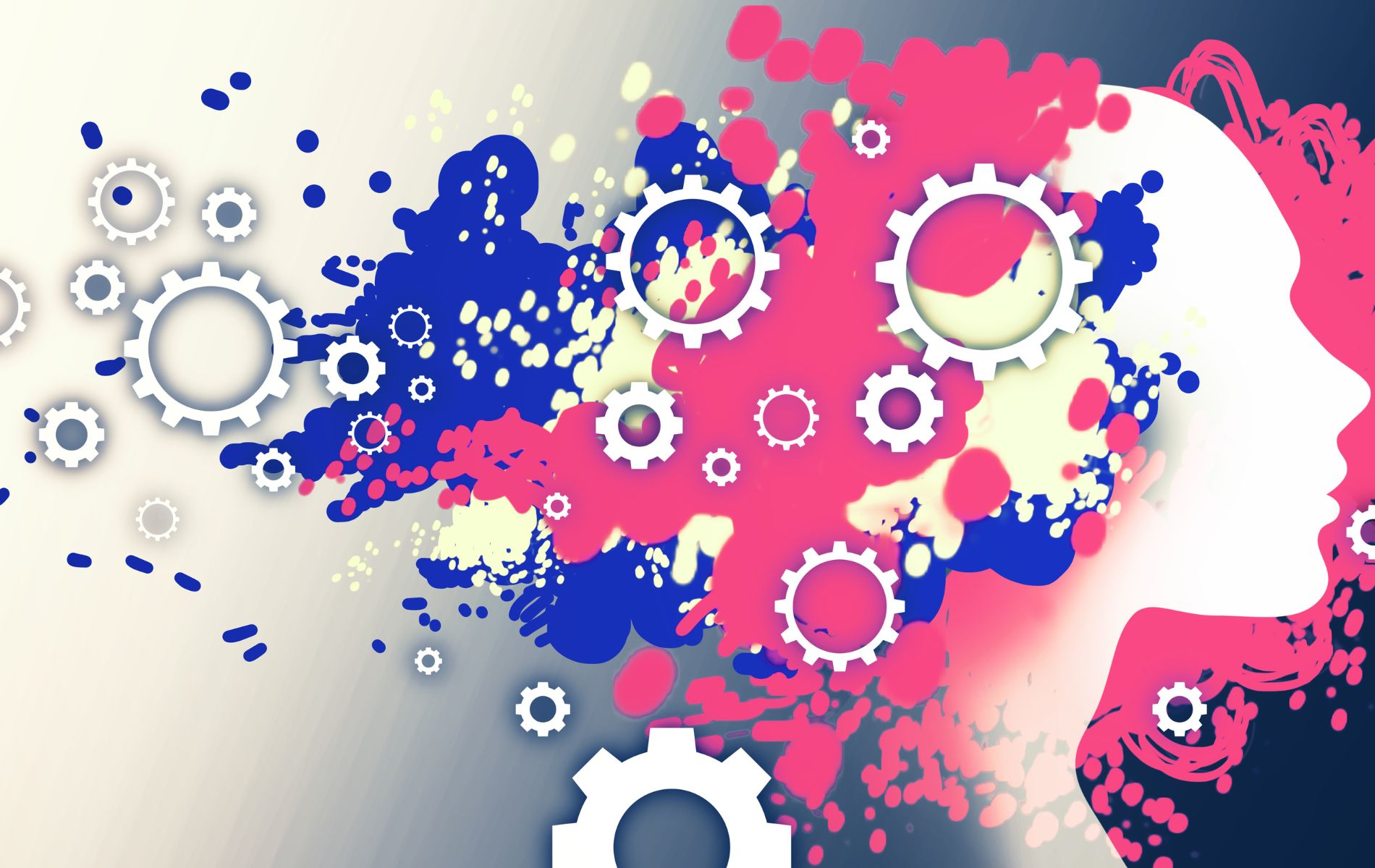 IBQ-SIARSL PILOT 3 and EFNR perspectives